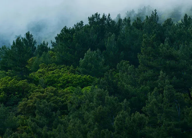 Net Zero Technology Service Provider