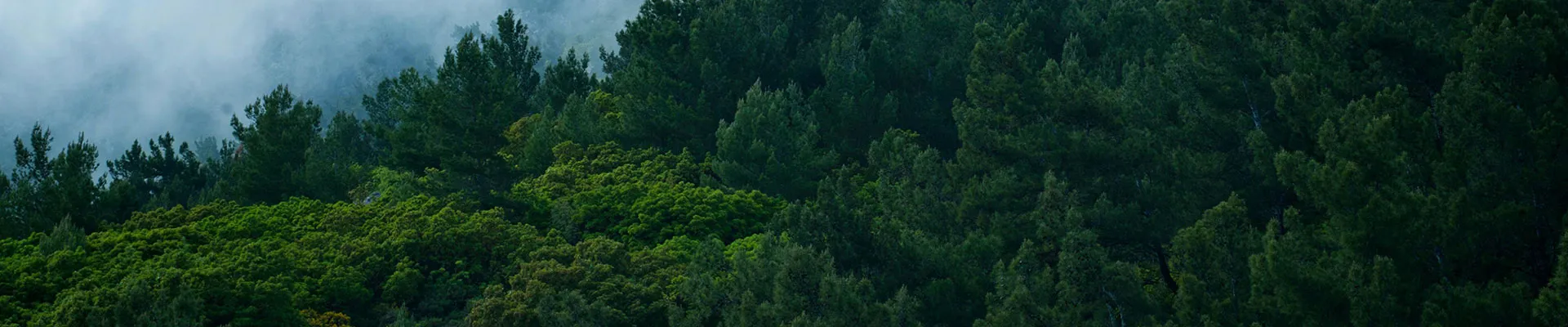 Need High-Performance Net Zero & Energy Storage Solutions?