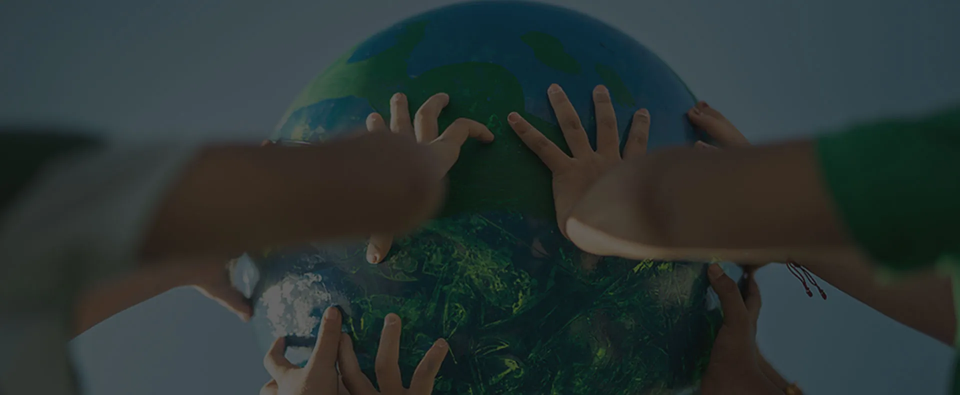 Inquiry for Energy Storage Solutions