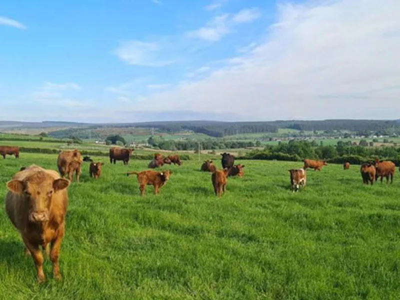 500 watt solar generator china